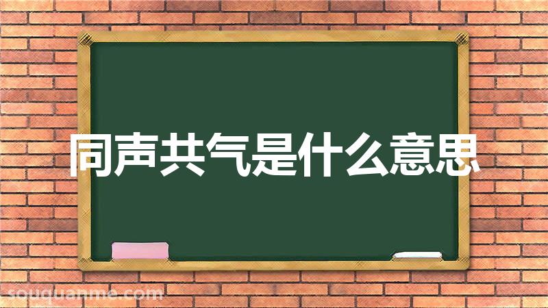 同声共气是什么意思 同声共气的拼音 同声共气的成语解释